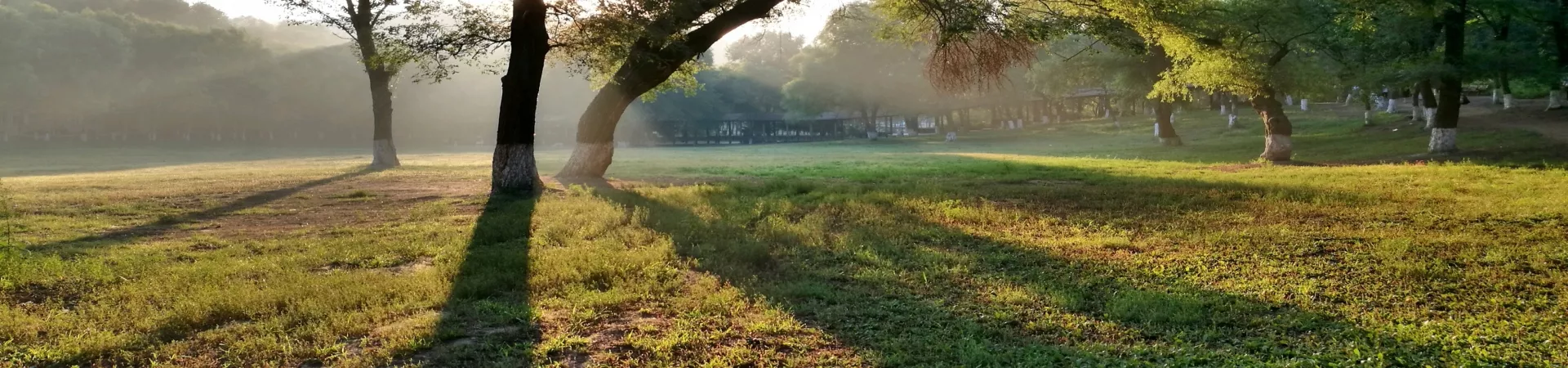 Top China Guide banner