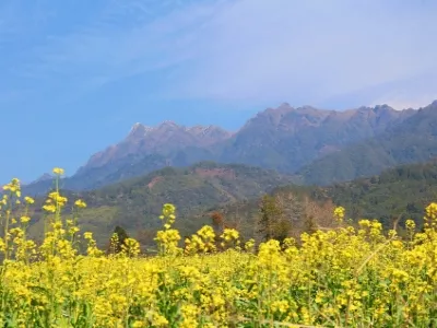 Gaoligongshan National Nature Reserve