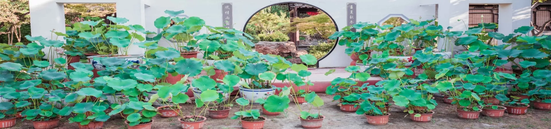 Top China Guide banner