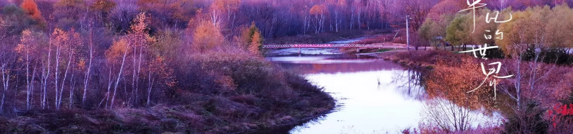 Top China Guide banner