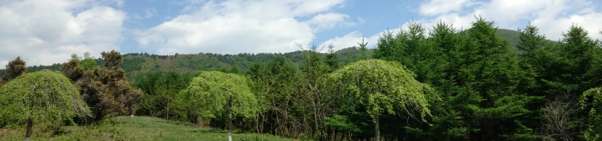 Top China Guide banner