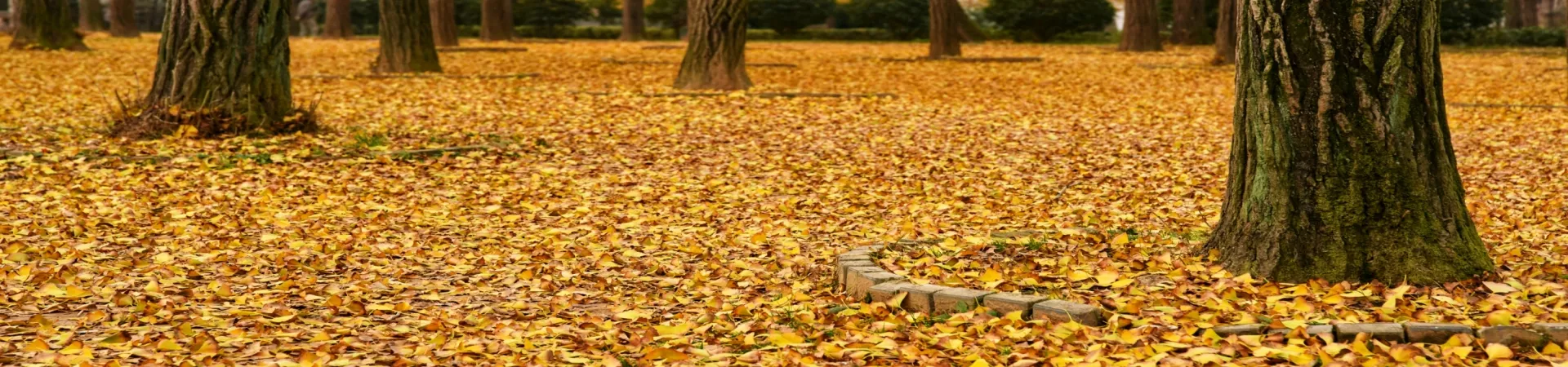 Top China Guide banner