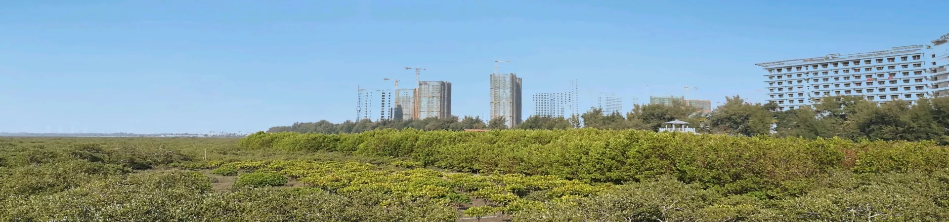 Top China Guide banner