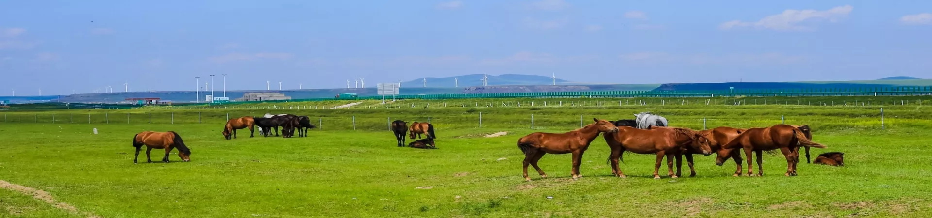 Top China Guide banner