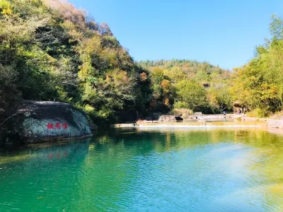 Green Forest Beauty Valley