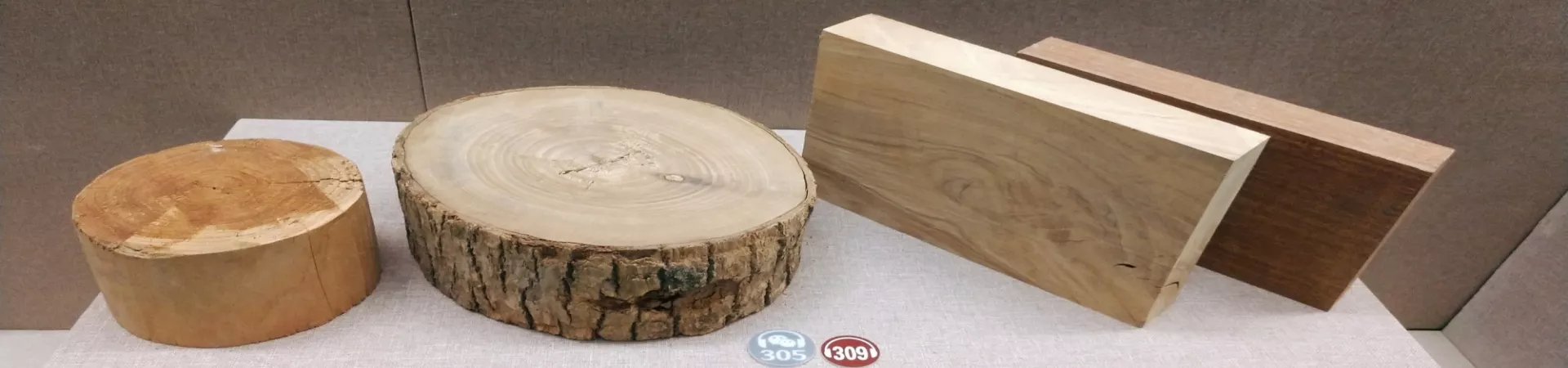 Top China Guide banner