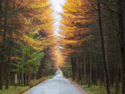 Guangwu Mountain Tourist Attraction