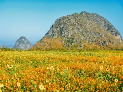 Jiuzhou Scenic Area in Guangxi