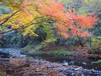 Guanmen Mountain National Forest Park