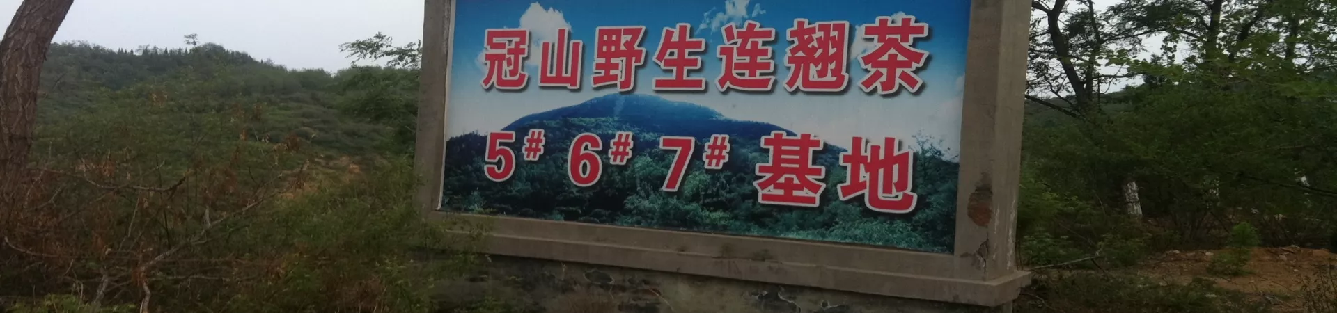 Top China Guide banner