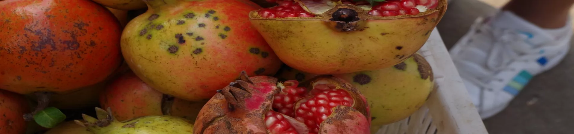 Top China Guide banner