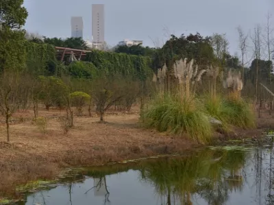 Guanyin Lake Wetland Park