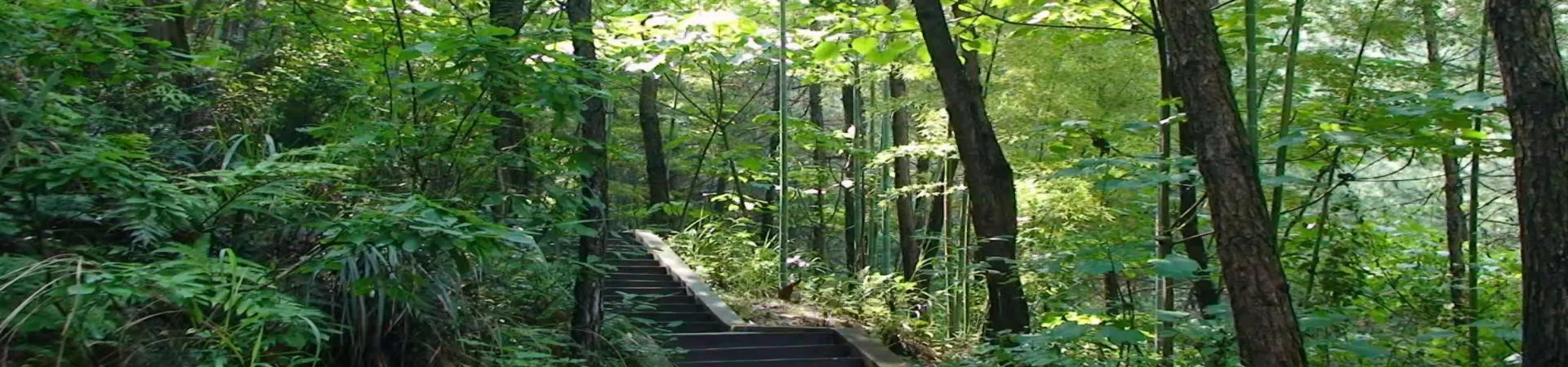 Top China Guide banner