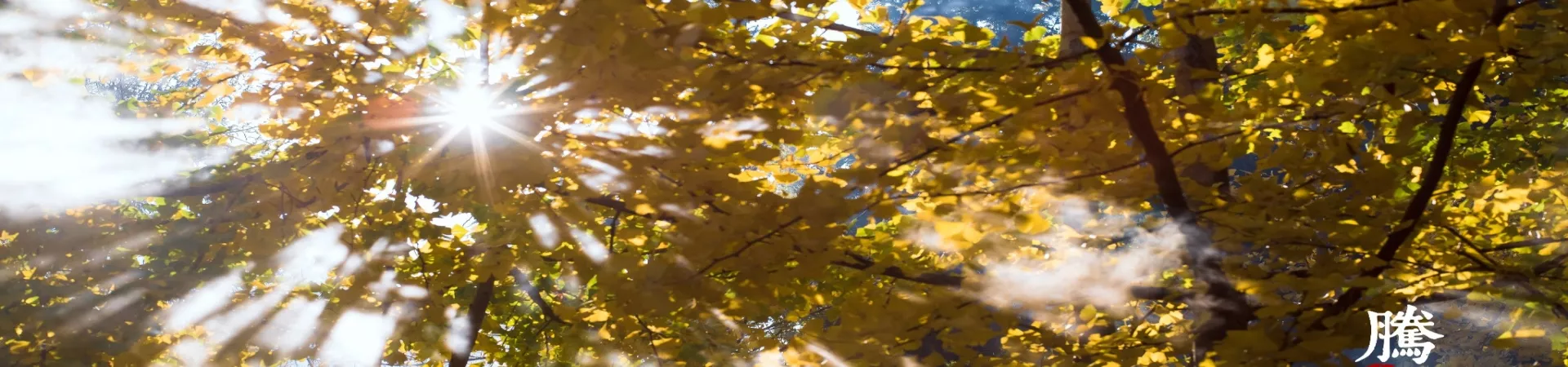 Top China Guide banner