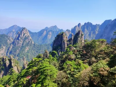 The Guest-Greeting Pine