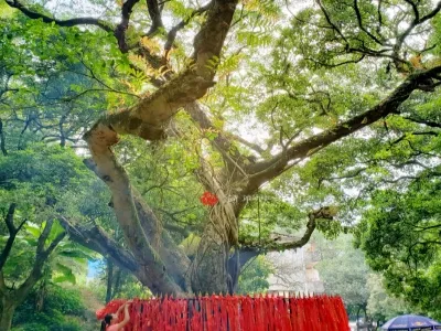 Mt. Xishan Scenic Resort of Guiping