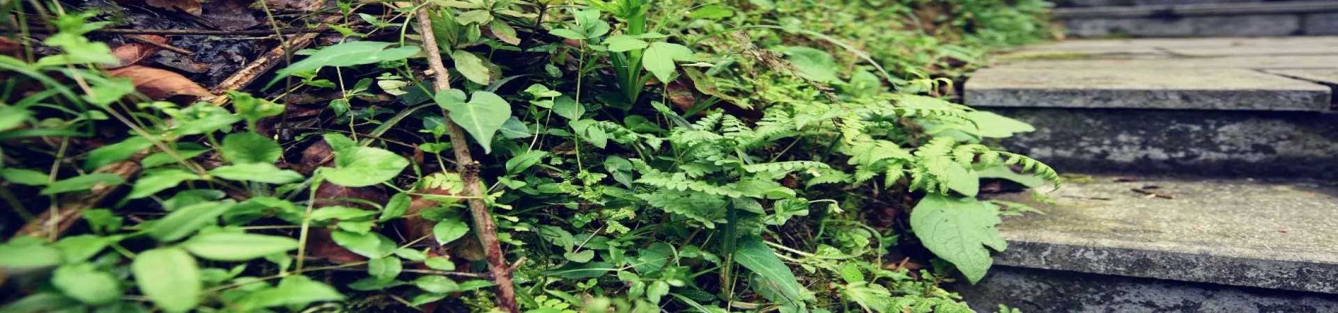 Top China Guide banner