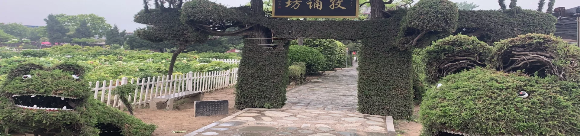 Top China Guide banner