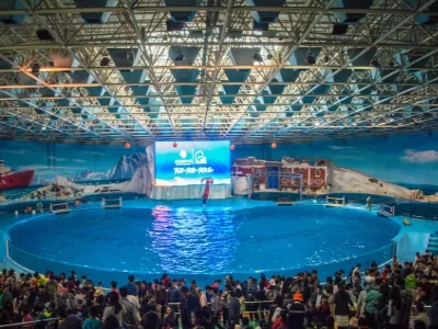 Qingdao Haichang Polar Ocean Park