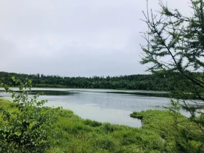 Hailar National Forest Park