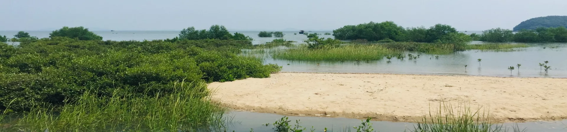 Top China Guide banner