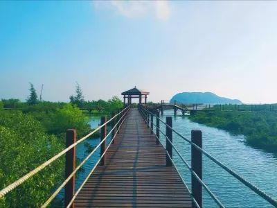 Hailing Island Mangrove National Wetland Park