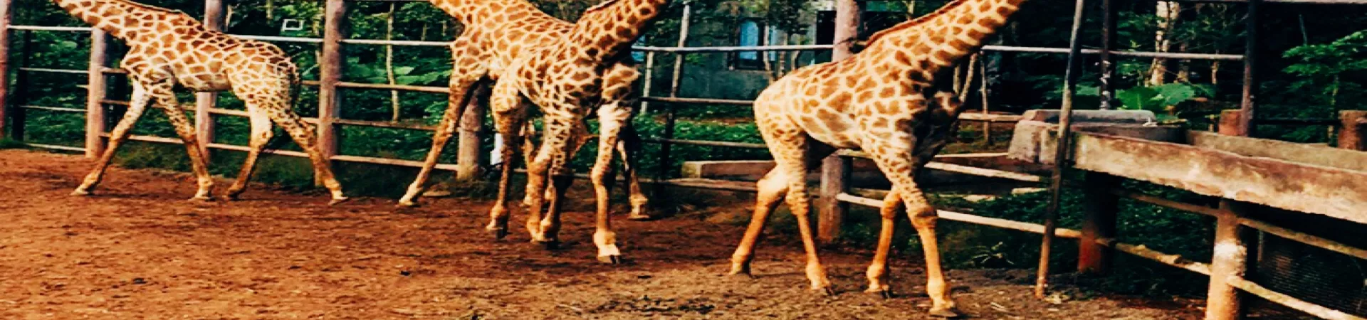 Top China Guide banner