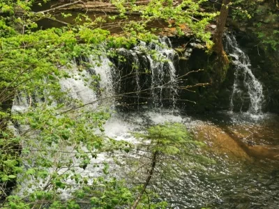 Hanging Water Pot Waterfall