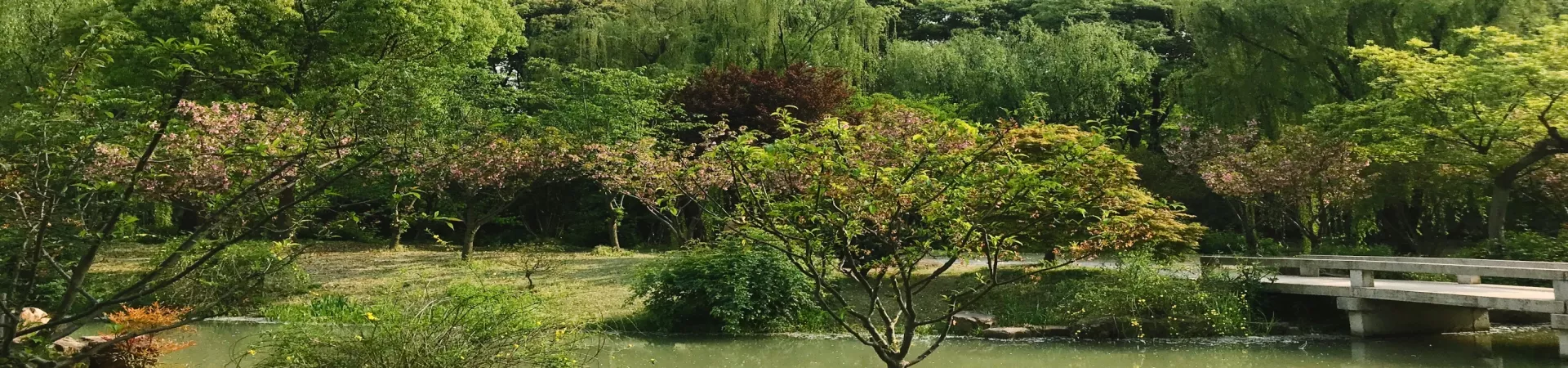 Top China Guide banner