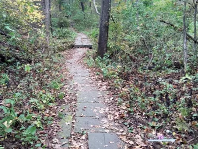 Harmony National Forest Park