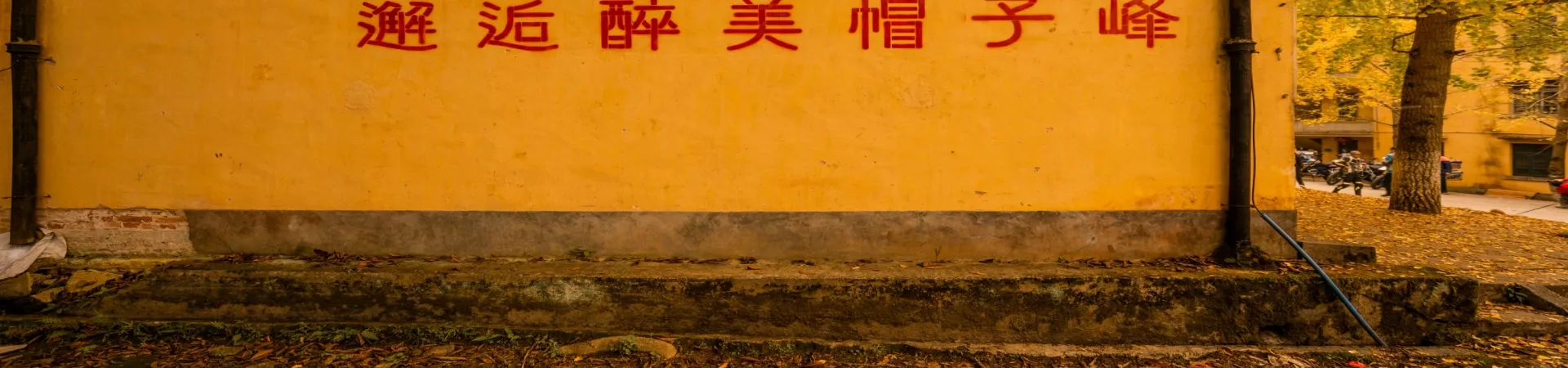 Top China Guide banner