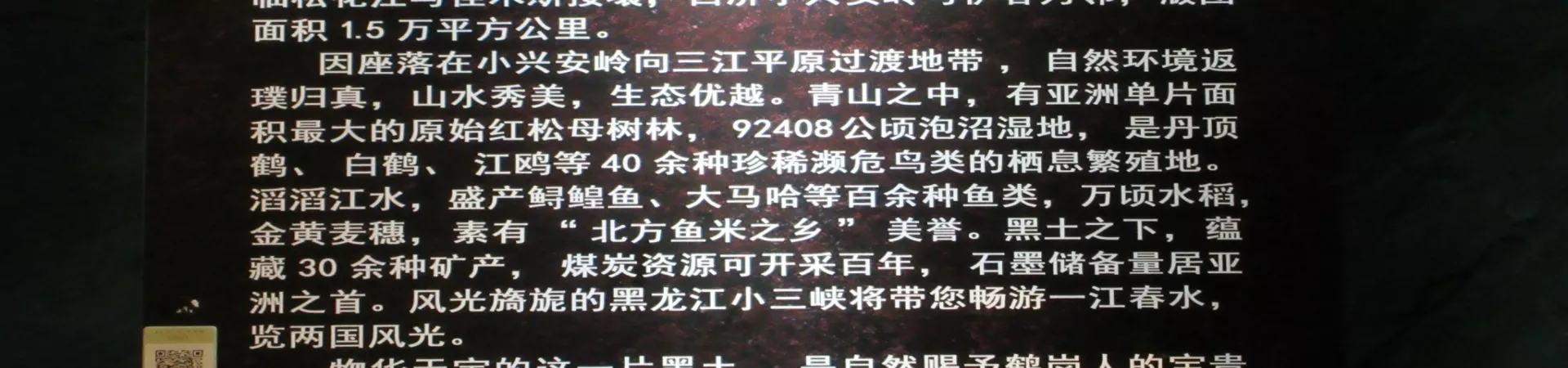 Top China Guide banner
