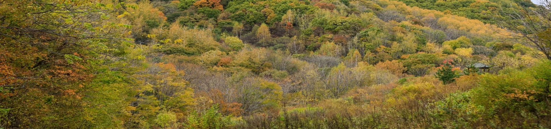 Top China Guide banner