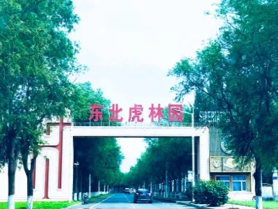 Heilongjiang Amur Tiger Park