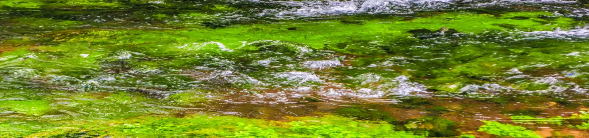 Top China Guide banner