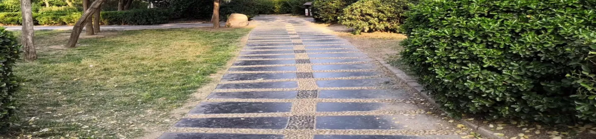 Top China Guide banner