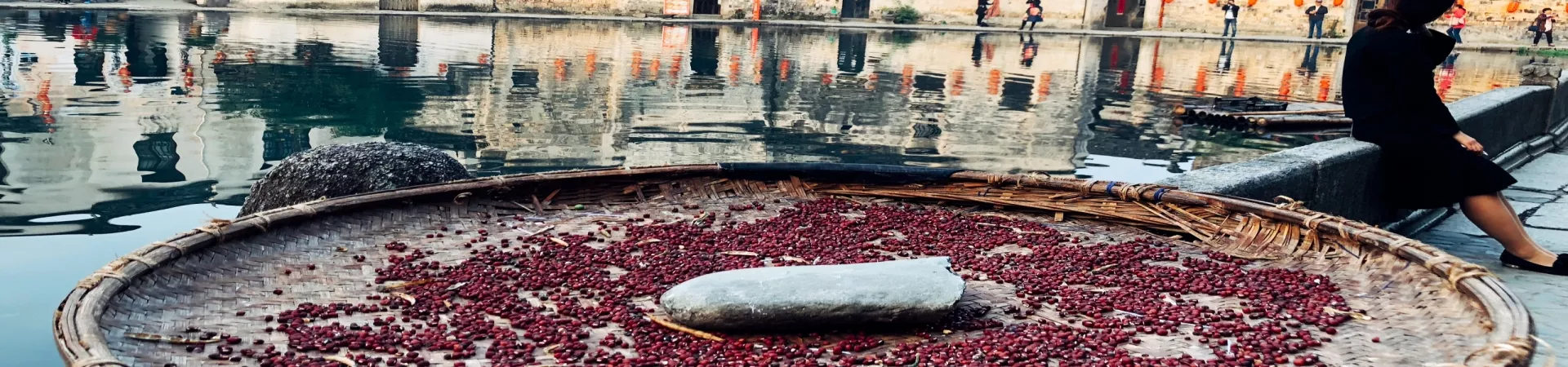 Top China Guide banner