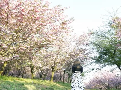 Hongfeng Lake Scenic Area