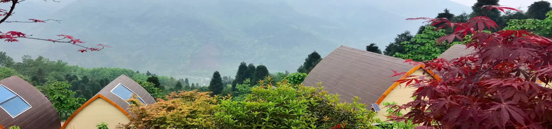 Top China Guide banner