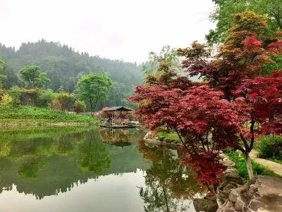 Hongfeng Ridge