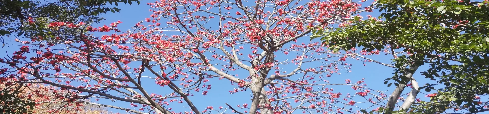 Top China Guide banner