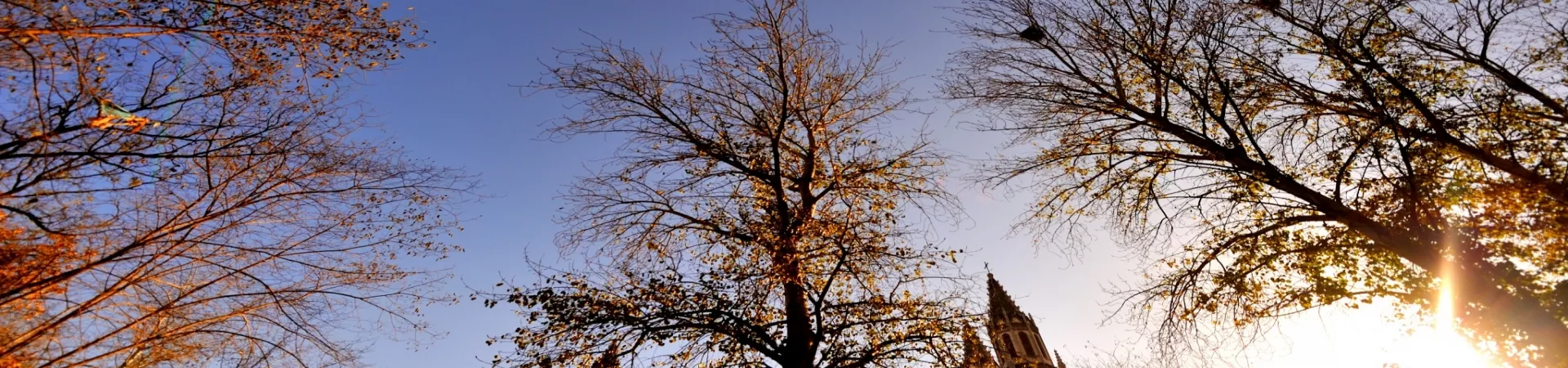 Top China Guide banner