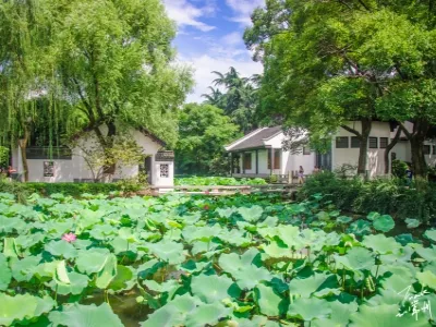 Hongmei Park 