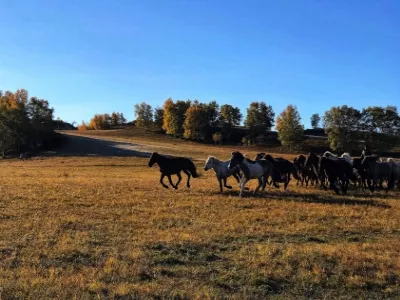 Hongshan Military Horse Farm
