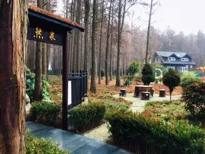 The Spa of Hongze lake Wetland