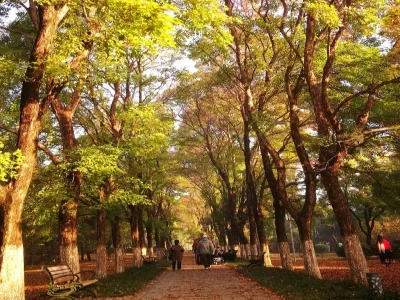 Huaihai Campaign Memorial Tower