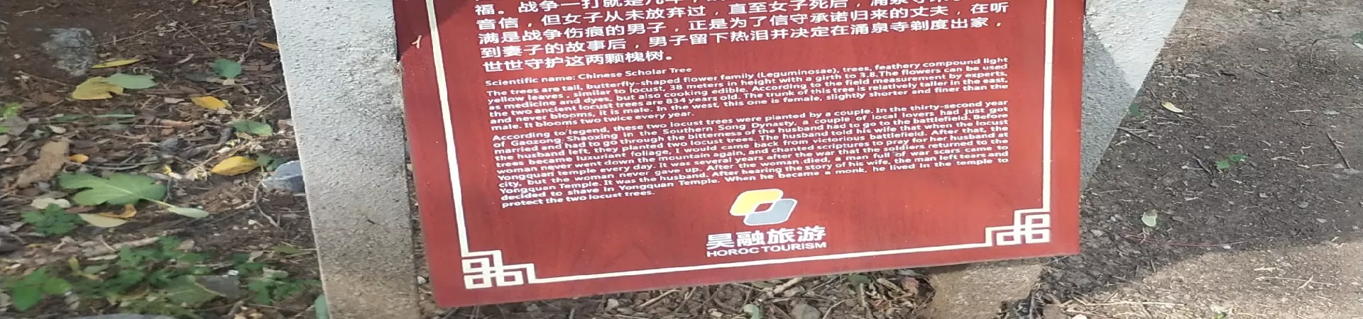 Top China Guide banner