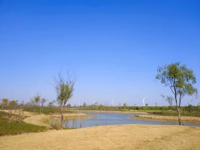 Huanghai Forest Park