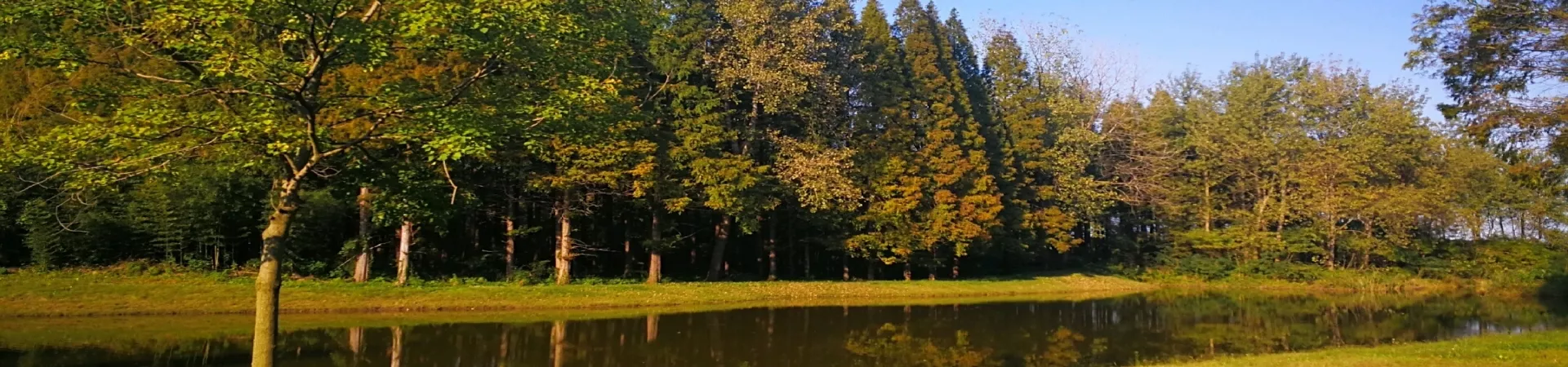 Top China Guide banner