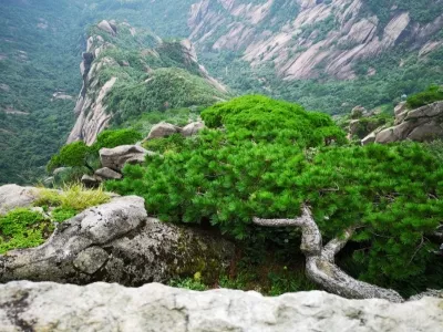 Mount Huangshan Tiandu Peak